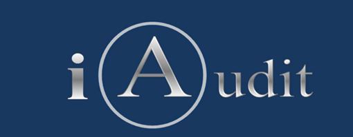 iaudit pic